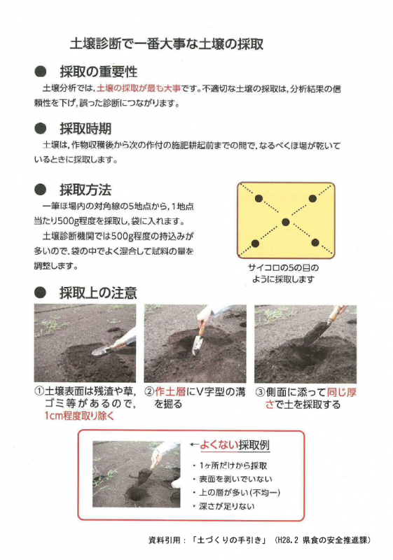 dojyoshindan20250109